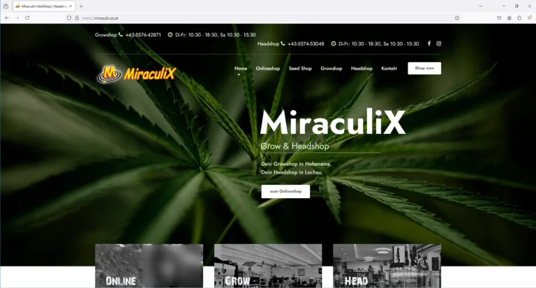 miraculix onlineshop 01 768x413