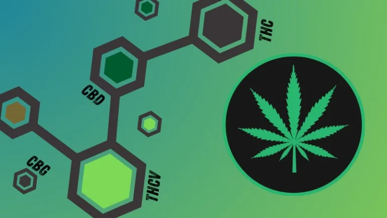 Darstellung von Cannabinoiden wie THC, CBD, CBG und THCV, symbolisiert die Vielfalt der Cannabinoide in Cannabis.