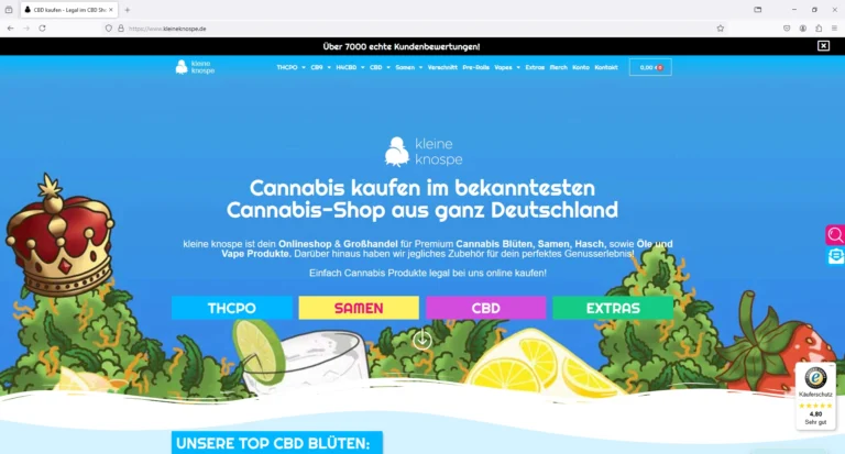 kleine knospe onlineshop 01 768x413