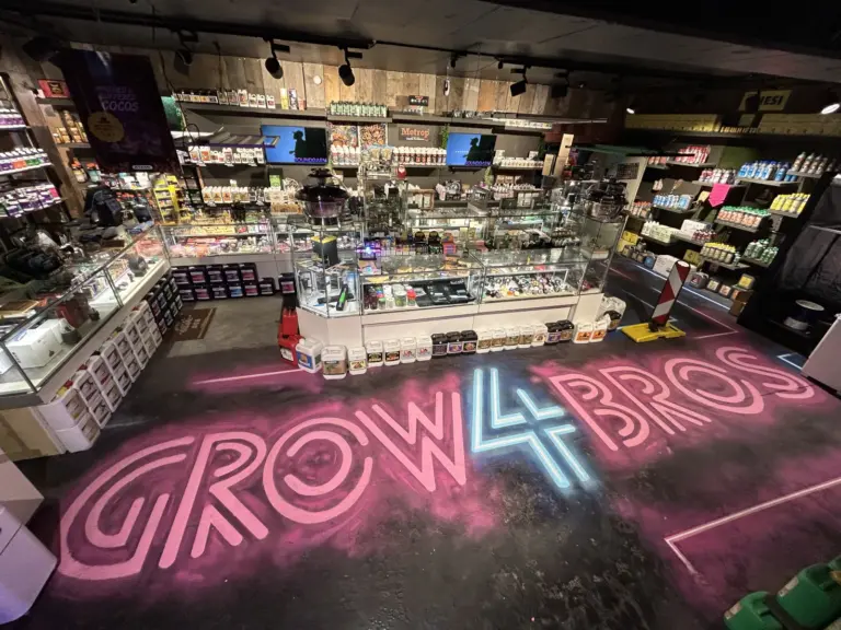 grow4bros koeln longerich 09 768x576