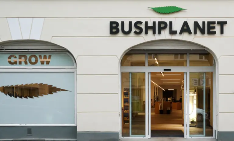 bushplanet citygrow 01 768x464