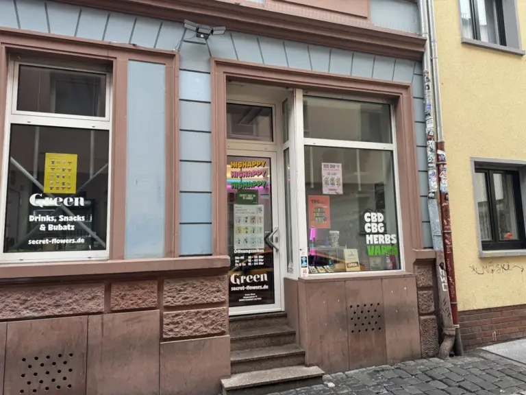 green store frankfurt klappergasse 02 768x576