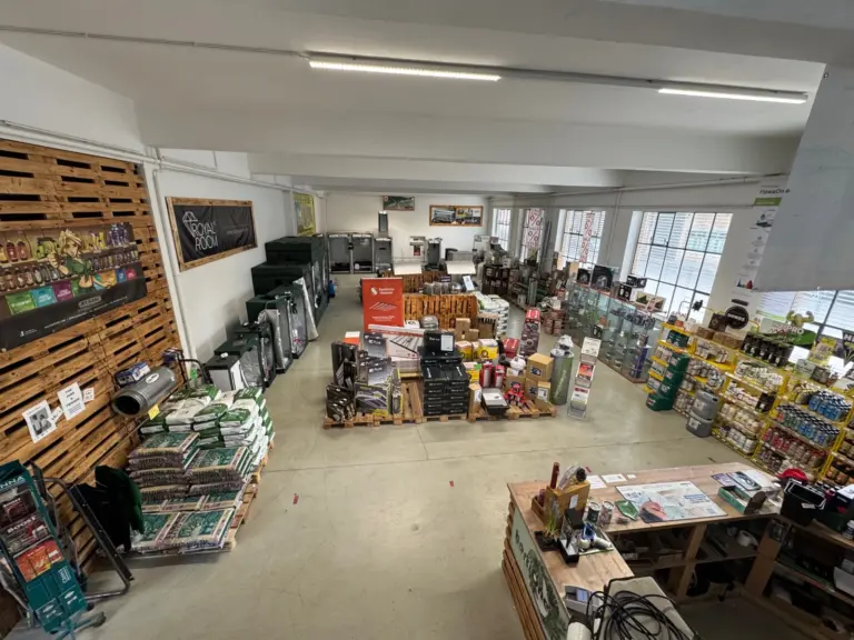 greenlight shop berlin 06 768x576