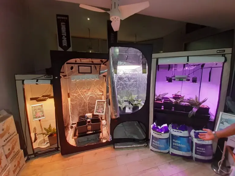 grow kit kassel 04 768x576