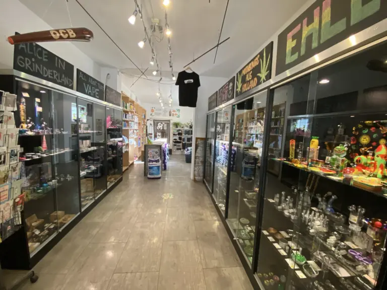 trash headshop growshop kaiserslautern 04 768x576