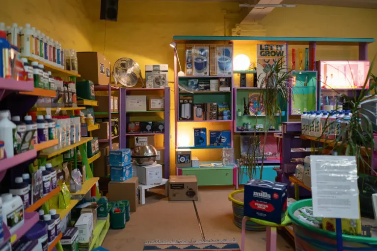 unkraut rueben hannover 01 1 768x512