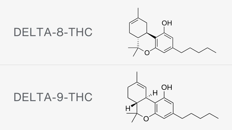 Chemische Strukturformeln von Delta-8-THC und Delta-9-THC, zeigen die Unterschiede in der Molekülstruktur.